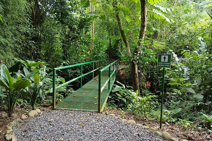 One of the bridges of ANURA