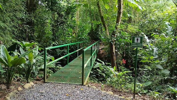 One of the bridges of ANURA