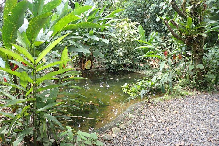 One of the forest edge lagoons