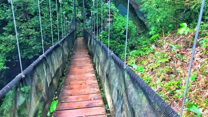 Oropendola Waterfall Bridge