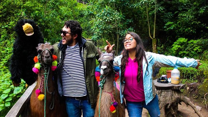 Otavalo Tour from Quito Visiting Cayambe, Indigenous Market