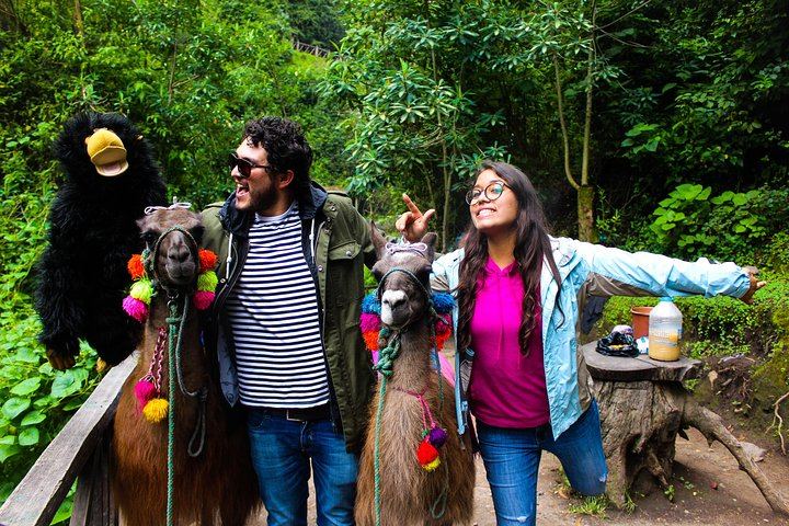 Otavalo Tour from Quito Visiting Cayambe, Indigenous Market