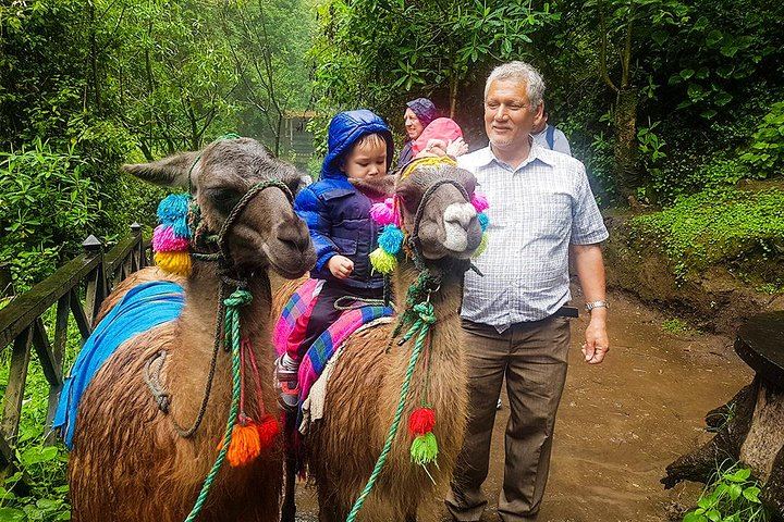 Otavalo Tour from Quito Visiting Cayambe, Indigenous Market