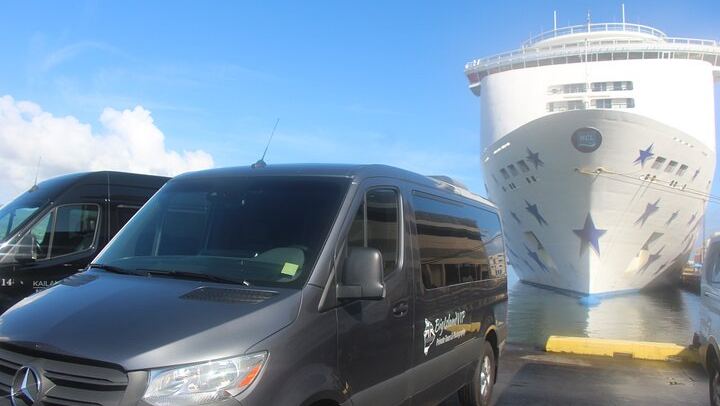 Our vans next to a cruise ship in the Port of Hilo.