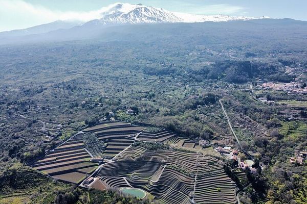 Etna Private Tour with Wine, Honey and the 1992 Lava Flow