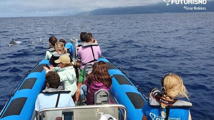 Our zodiac boat