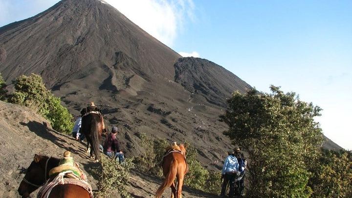 Pacaya Volcano Day Trip from Guatemala City