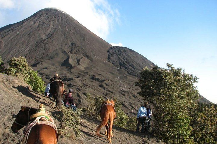 Pacaya Volcano Day Trip from Guatemala City
