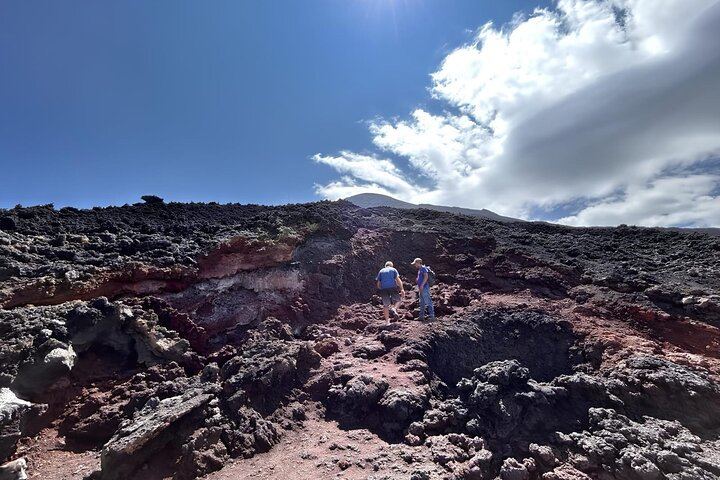 Pacaya Volcano Hike from Antigua