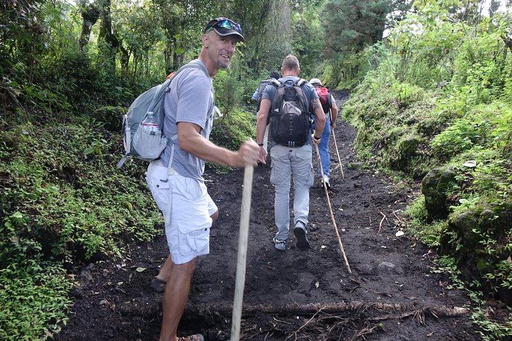 Pacaya Volcano Morning Tour from Antigua
