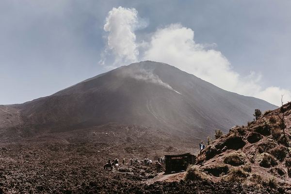 Pacaya Shared Hike from Guatemala City, Entrance Fee Apart