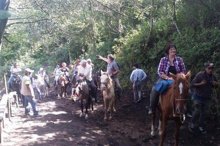 ¡Pacaya Volcano Tour from Antigua!