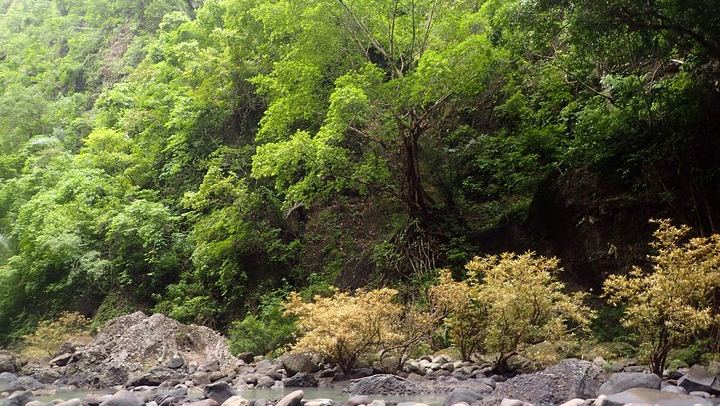 Pagsanjan Falls-Taal Volcano-Tagaytay ultimate Day Tour frm MNL
