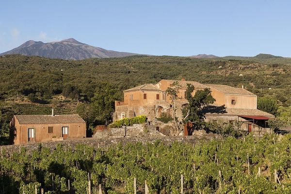 Three Etna Wineries in Six Hours, Entrance Fees Included