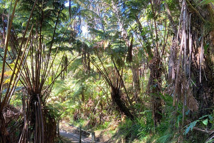 Pathway to Lava tube