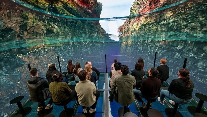 Perlan Admission - Volcano & Ice Cave, Northern Lights Experience