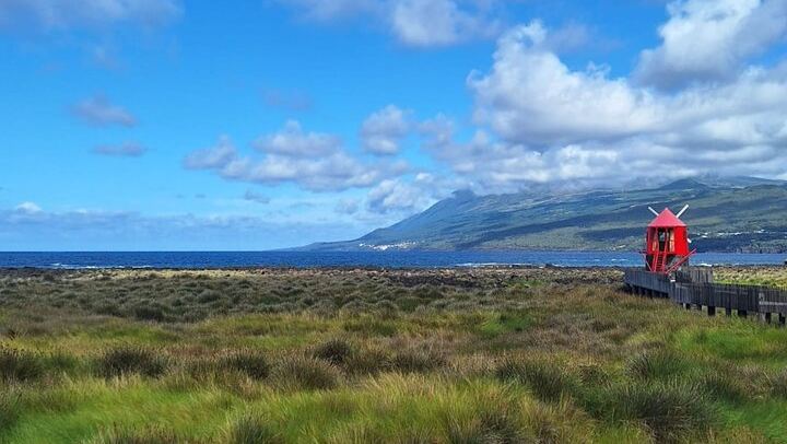 Pico Island highlights - Private tour (+ optional wine tasting)