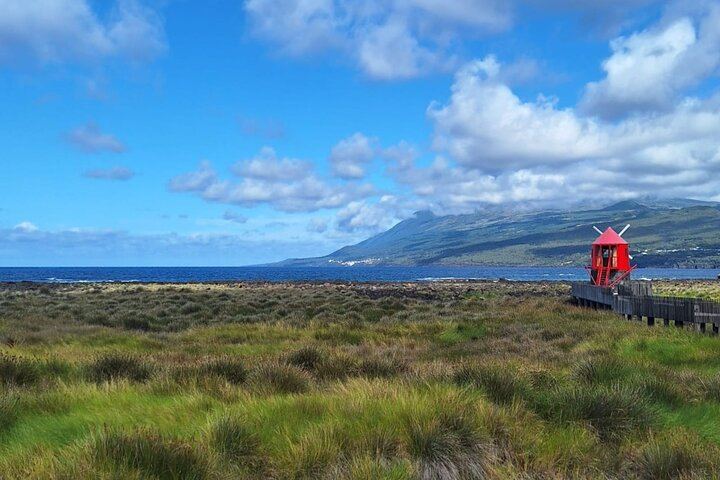 Pico Island highlights - Private tour (+ optional wine tasting)