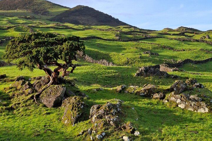 Pico Island highlights - Private tour (+ optional wine tasting)