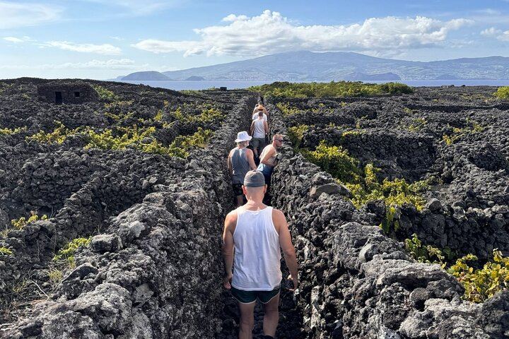 Pico Island highlights - Private tour (+ optional wine tasting)
