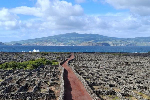 Pico in a Day, Ending Inside a Lava Tube