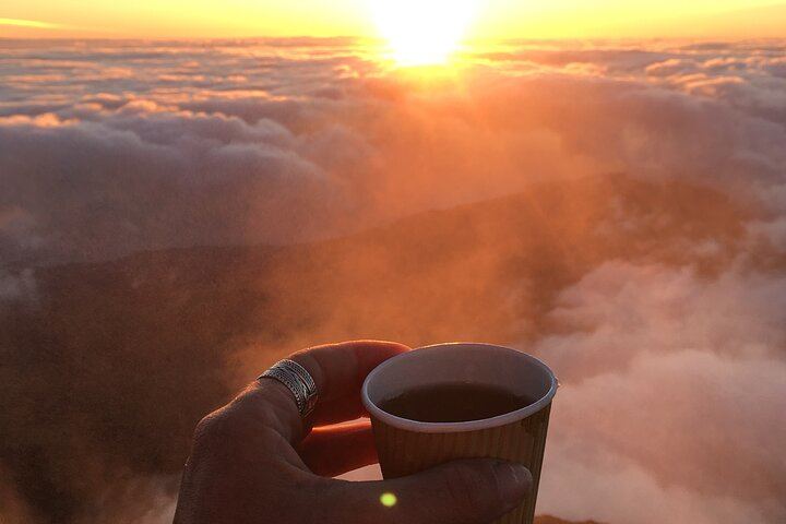 Pico Mountain: Climb the Highest Point of Portugal 2351m