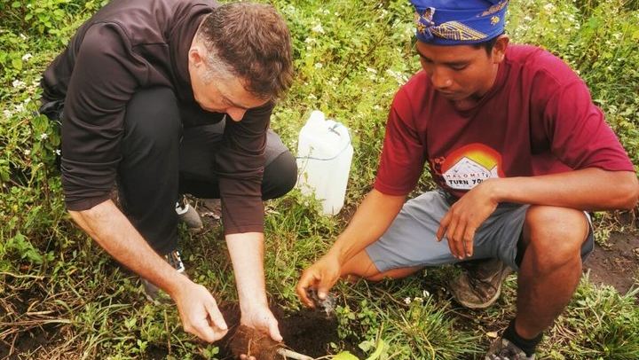 planting a trees