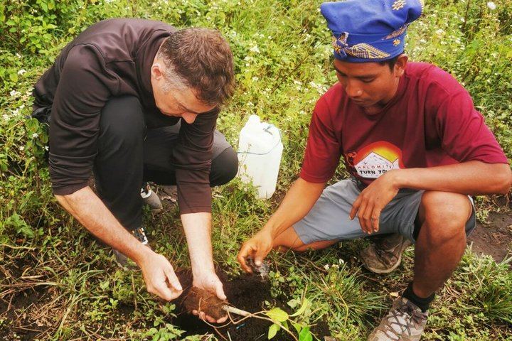 planting a trees