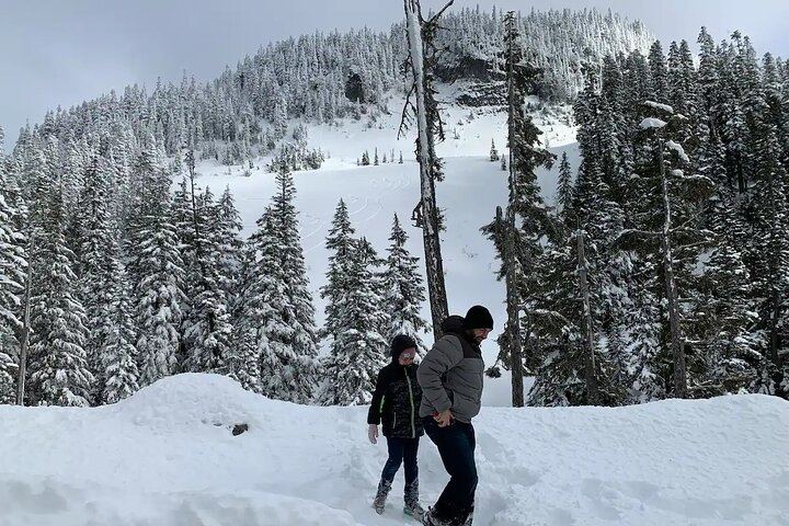 Playing in the snow