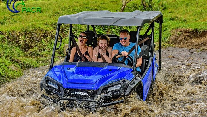 Plenty of mud for everyone!