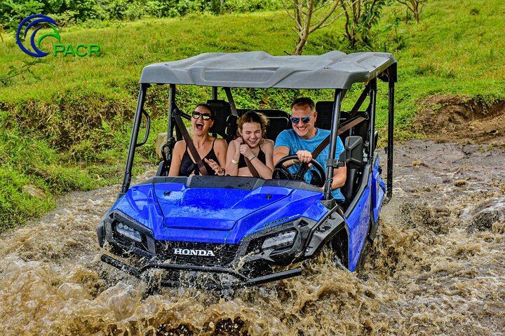 Plenty of mud for everyone!
