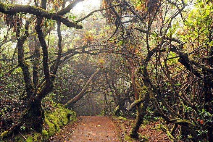 poas trail