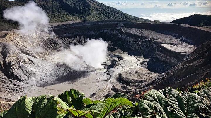 Poas Volcano + Coffee Plantations & La Paz Waterfall Gardens Trip from San Jose