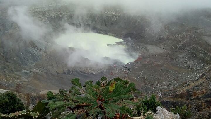 Poas Volcano waterfalls and coffee tour from from San Jose