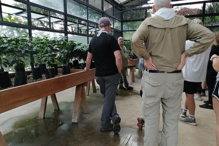 Poas Volcano waterfalls and coffee tour from from San Jose