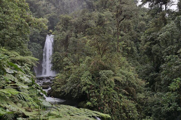 Poas Volcano waterfalls and coffee tour from from San Jose