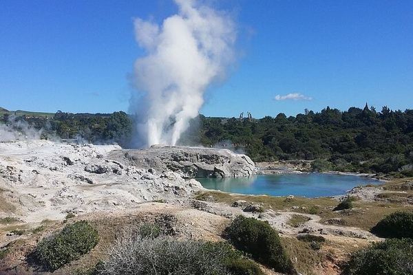 Whakarewarewa Living Village from Tauranga: Hāngī Lunch Steam-Cooked in the Ground