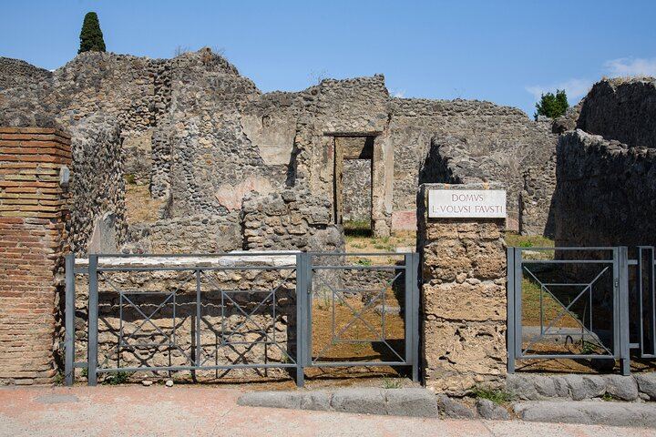 Pompeii and Vesuvius Full Guided Tour from Sorrento with Pizza