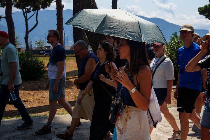 Pompeii and Vesuvius Full Guided Tour from Sorrento with Pizza
