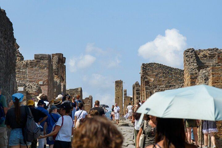 Pompeii and Vesuvius Full Guided Tour From Naples with Pizza