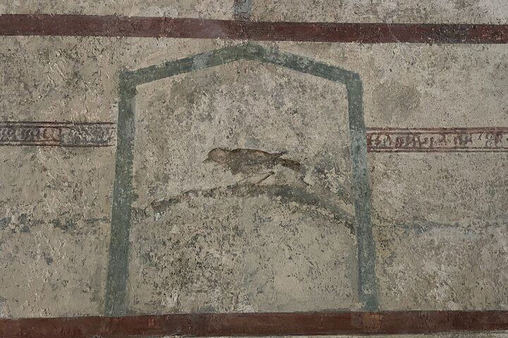 Pompeii and Vesuvius Small Group Tour from Sorrento