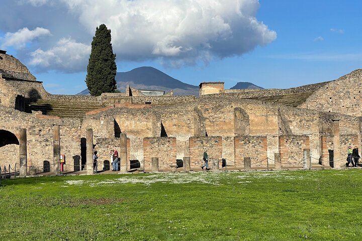 Pompeii and Vesuvius Small Group Tour from Sorrento