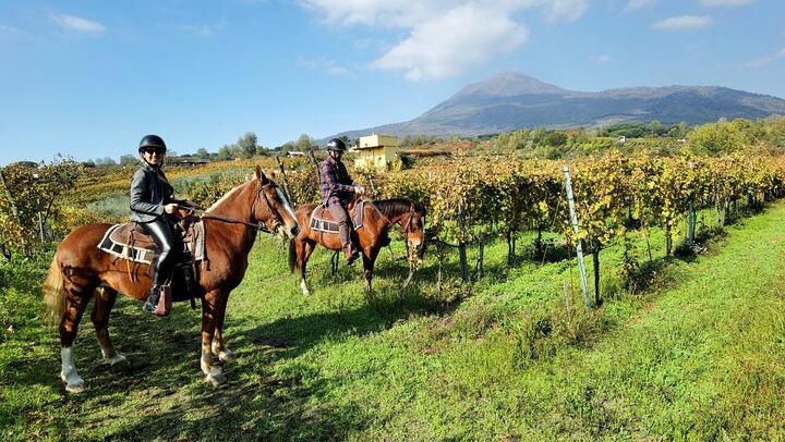 Pompeii Guided Tour & Horse Riding on Vesuvius with Lunch