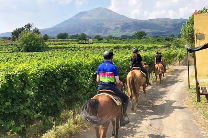Pompeii Guided Tour & Horse Riding on Vesuvius with Lunch