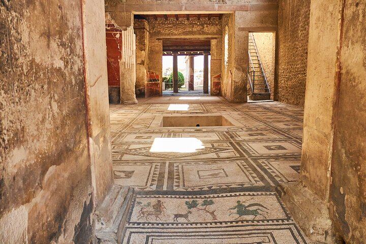 Pompeii, Herculaneum & Mt Vesuvius Private Tour from Naples