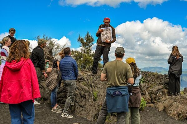 Pompeii and Vesuvius from Naples with an Archaeologist, a Mountain Guide and Lunch