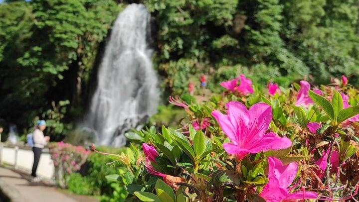 Private Custom Tour in São Miguel Island