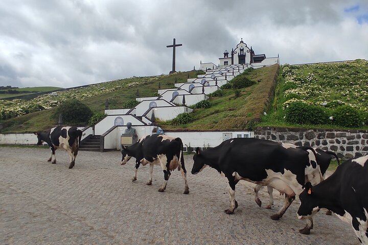 Private Custom Tour in São Miguel Island