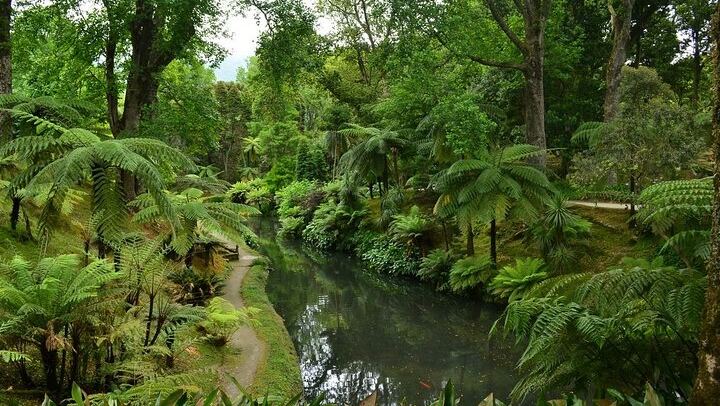 Private Guided Tour to Furnas and thermal baths.