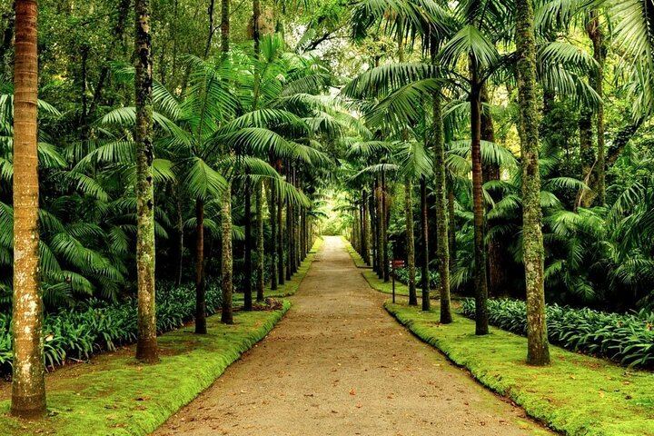 Private Guided Tour to Furnas and thermal baths.